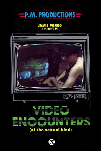 Video Encounters (of the Sexual Kind) movie poster