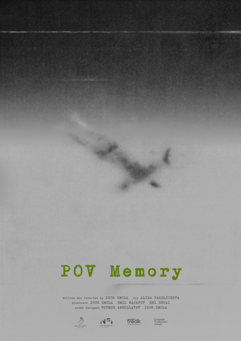 POV Memory movie poster