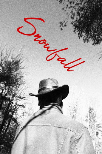 Snowfall movie poster