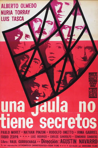 Una jaula no tiene secretos movie poster