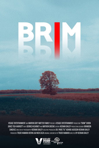 Brim movie poster