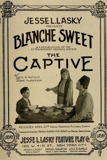 The Captive movie poster