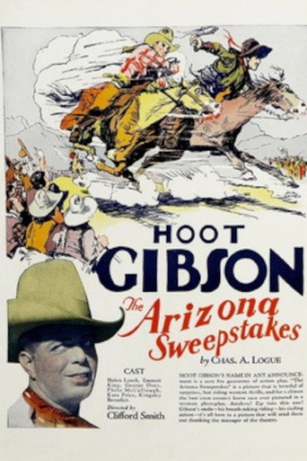 Arizona Sweepstakes movie poster