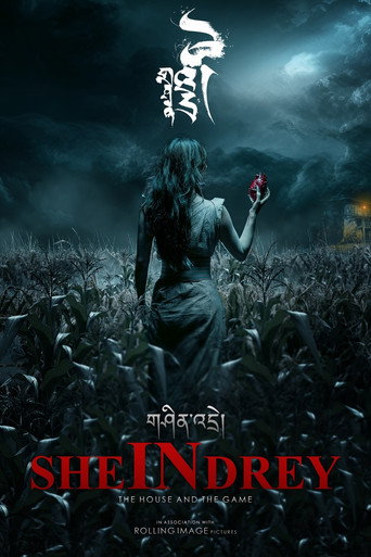 SHEinDREY movie poster