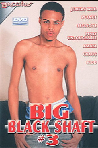 Big Black Shaft 3 movie poster