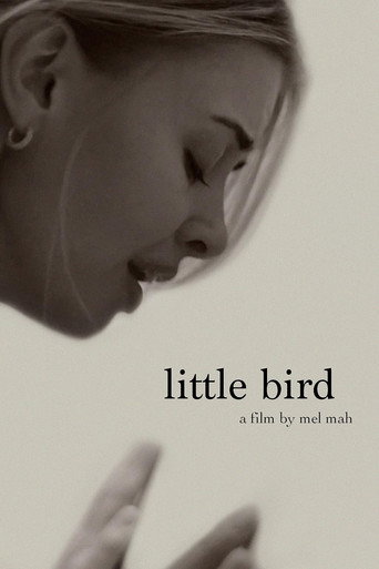 Little Bird movie poster