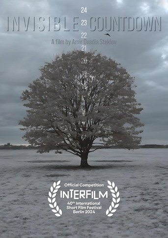 Invisible Countdown movie poster