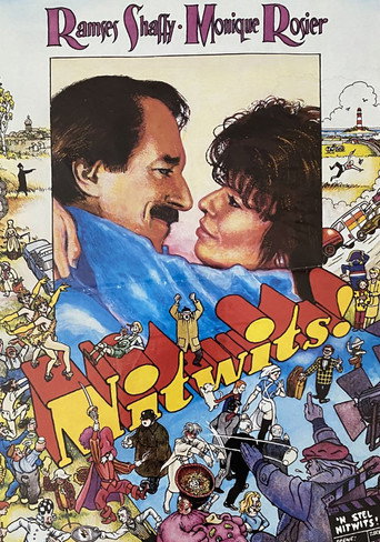 Nitwits movie poster