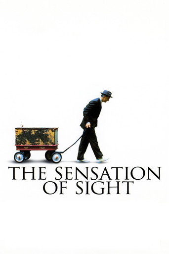 The Sensation of Sight movie poster
