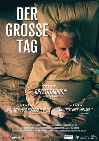 Der große Tag movie poster