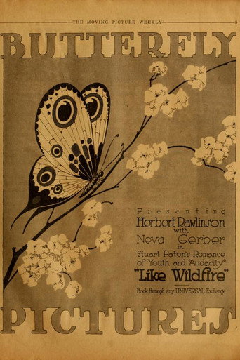 Like Wildfire movie poster