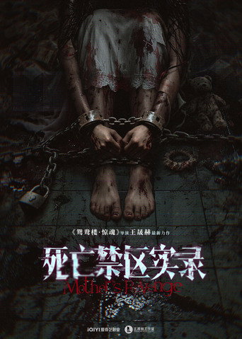 死亡禁区实录 movie poster