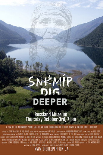 Snkmíp Dig Deeper movie poster