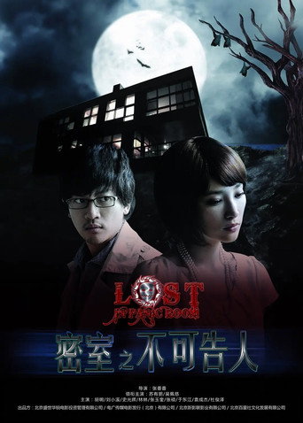 Lost in Panic Room movie poster