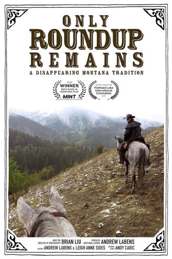Only Roundup Remains movie poster