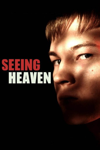 Seeing Heaven movie poster