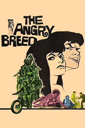 The Angry Breed movie poster
