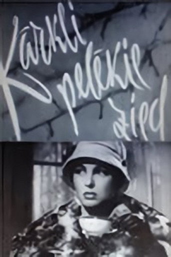 Kārkli pelēkie zied movie poster