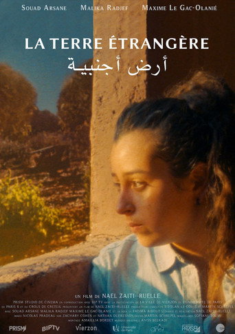 The foreign land movie poster