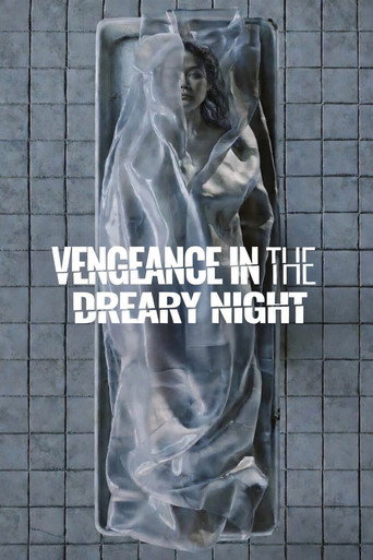 Vengeance in the Dreary Night movie poster