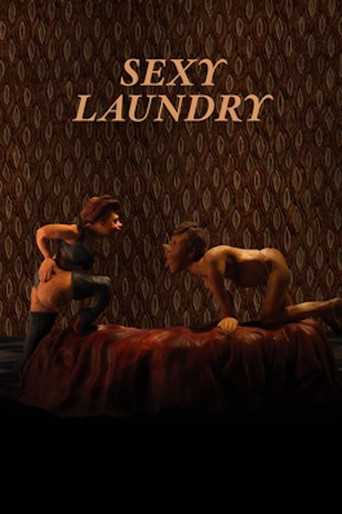 Sexy Laundry movie poster