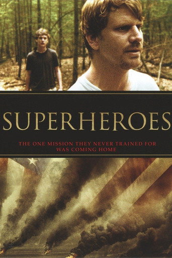 Superheroes movie poster