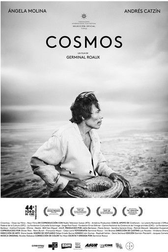 Cosmos movie poster