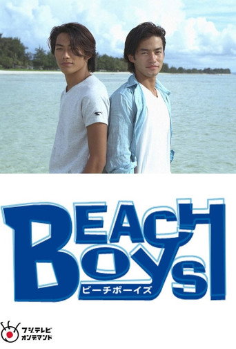 Beach Boys Special movie poster