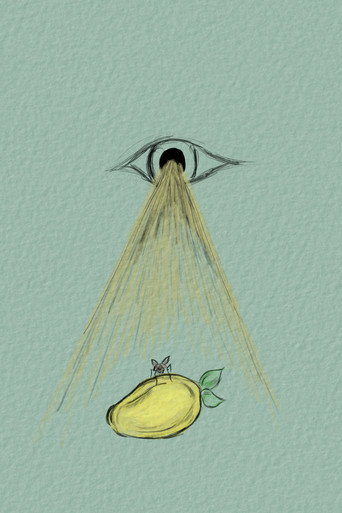 To Be A Fly On Your Mango movie poster