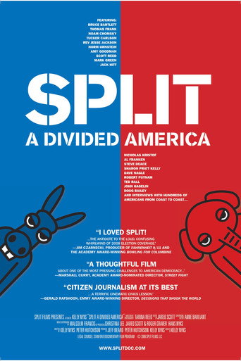 Split : A Deeper Divide movie poster