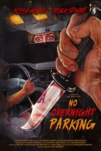 No Overnight Parking movie poster