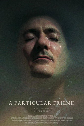 A Particular Friend movie poster