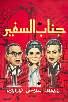 His Excellency, The Ambassador movie poster
