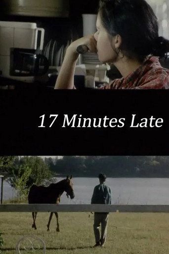 17 Minutes Late movie poster