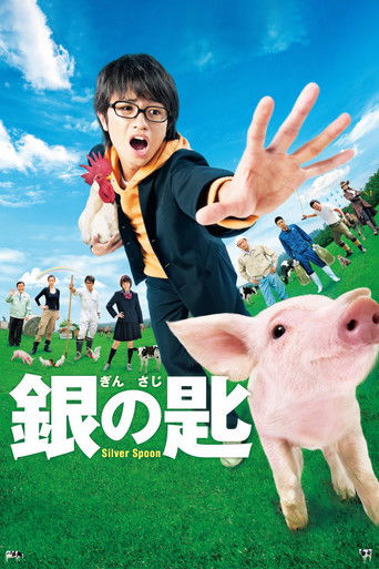 Silver Spoon movie poster