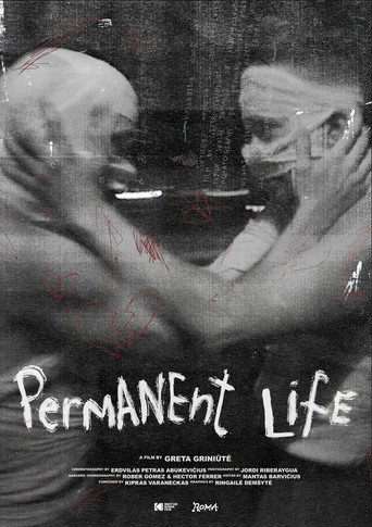 Permanent Life movie poster