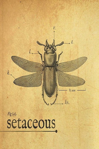 Setaceous movie poster