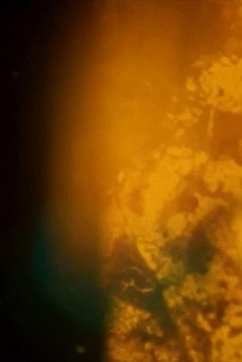 Particles movie poster