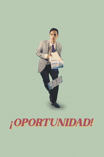 A Job Offer movie poster