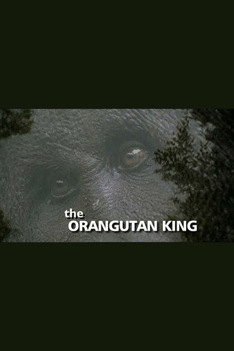 The Orangutan King movie poster