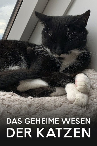 Das geheime Wesen der Katzen movie poster