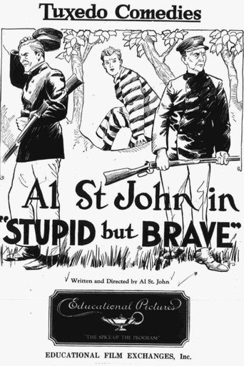 Stupid, but Brave movie poster