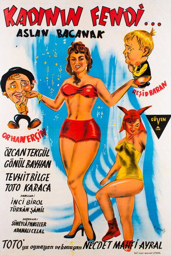 Kadının Fendi movie poster