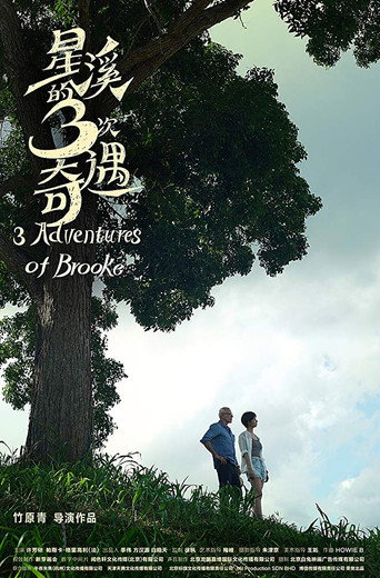 Three Adventures of Brooke movie poster