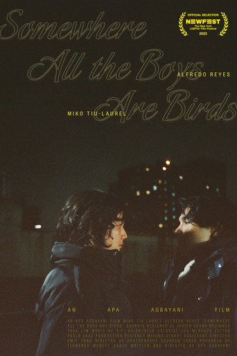 Somewhere all the boys are birds movie poster