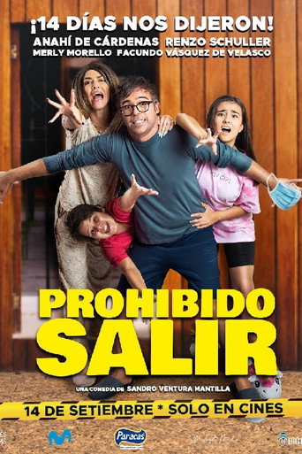 Prohibido salir movie poster