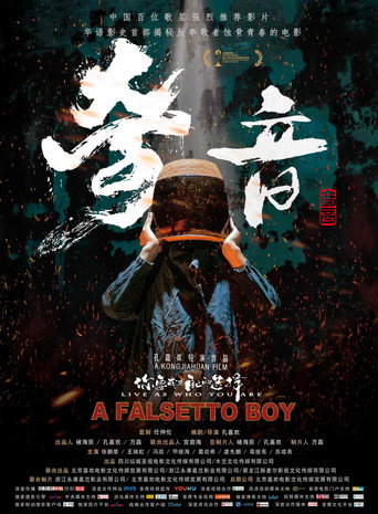 A Falsetto Boy movie poster