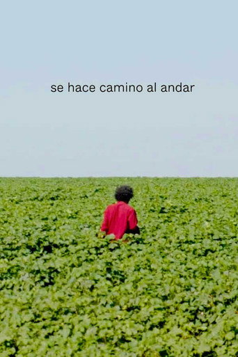 The Path is Made by Walking movie poster