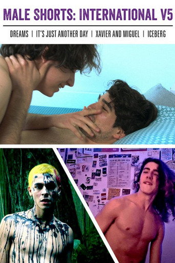 Male Shorts: International V5 movie poster