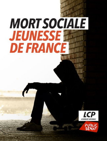 Mort sociale, jeunesse de France movie poster